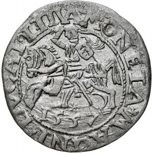 Zygmunt II August 1545-1572, Półgrosz 1557, Wilno. R. LTIVA i listek