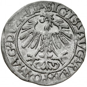 Zygmunt II August 1545-1572, Półgrosz 1558, Wilno.