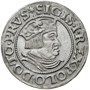 Sigismund I the Old 1506-1548, Grosz 1535, Gdansk. RR, uncommon punctuation marks on the reverse in the form of leaves.