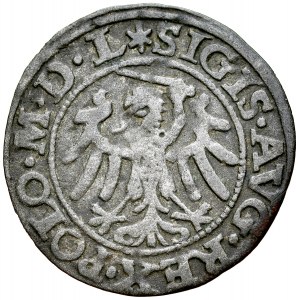 Zygmunt II August 1545-1572, Szeląg 1549, Gdańsk.