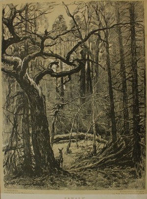 Antoni Kamieński (1860-1933), 4 szt. litografia