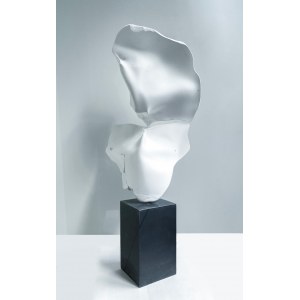 Zuzanna Grochowska, Cryptoface, 2018