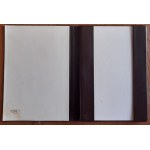 Pichell Eugeniusz. Warszawa 10 drzeworytów w etui