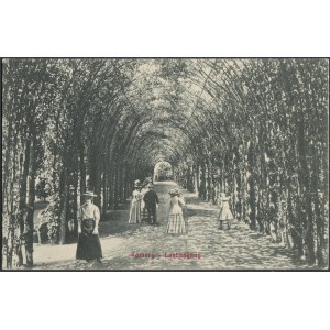 Pomorze Zachodnie. Pocztówka Kołobrzeg. Bindaż Grabowy 1910 r.