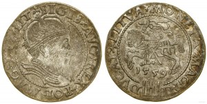 Polsko, groš za litevskou nohu, 1559, Vilnius