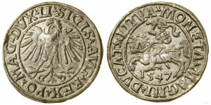 Pologne, demi-penny, 1547, Vilnius