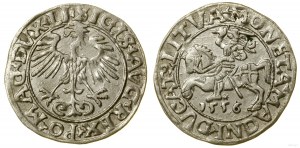 Pologne, demi-penny, 1556, Vilnius
