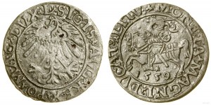 Pologne, demi-penny, 1559, Vilnius