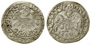 Pologne, demi-penny, 1560, Vilnius