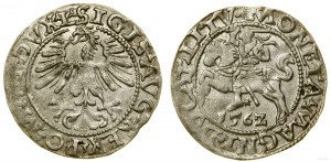 Pologne, demi-penny, 1562, Vilnius