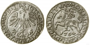 Pologne, demi-penny, 1564, Vilnius