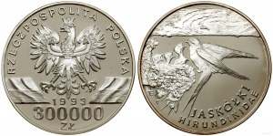 Polonia, 300.000 PLN, 1993, Varsavia