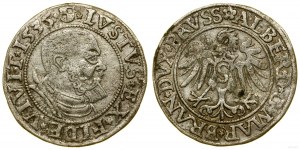 Prusy Książęce (1525-1657), grosz, 1535, Królewiec