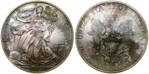 Stany Zjednoczone Ameryki (USA), 1 dolar = 1 uncja srebra, 2010, Filadelfia