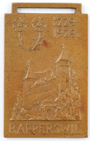 SEDEMSTO ROKOV RAPPERSWIL, 1929