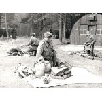PHOTOS FROM THE COLLECTION OF JAN NIERADKA