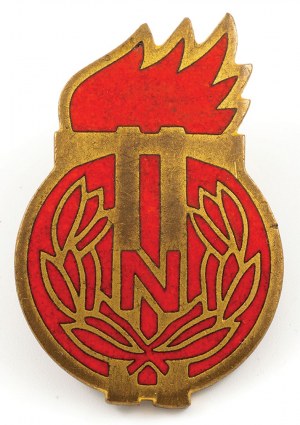 Distintivo per l'addestramento dei vigili del fuoco di OCHOTNICZE, modello 1959