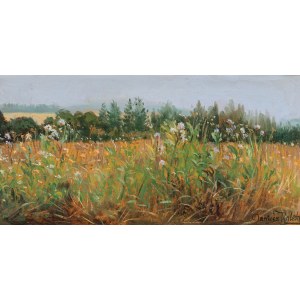 Dariusz KALETA, THE FLOWERING LAND, 1996
