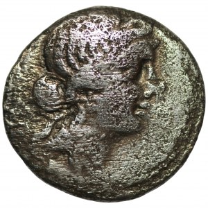 ROMA - denario (100-44) - Giulio Cesare