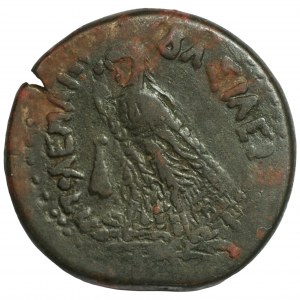 EGYPT - veľký bronz (246-221) - Ptolemaios III