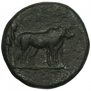 ROME - Octavian Augustus (27 BC - 14 AD).