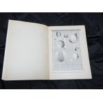 Intorno alla luna / Jules Verne [ill. Daniel Mróz ; ] 1970