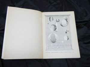 Autour de la lune / Jules Verne [ill. Daniel Mróz ; ] 1970