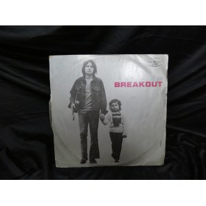 Blues Breakout Winyl