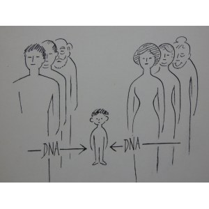 Zbigniew Lengren - DNA