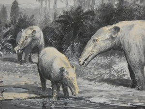 Adam Werka - Prehistoric Animals II