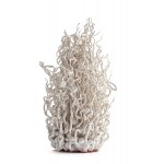 Justyna Adamczyk (ur. 1981), Scar 6 , 2019