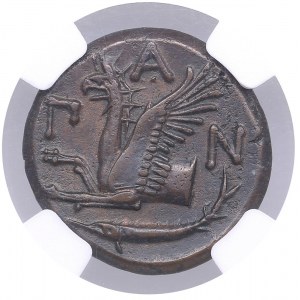 Cimmerian Bosporus (Panticapaeum) Æ 21 (Tetrachalkon), c. 320-310 BC - NGC Ch AU