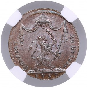 Sweden Bronze Medal 1717 - Karl XII (1697-1718) - NGC MS 65 BN