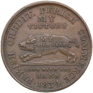 USA Hard Times Copper Cent Token 1834 - Perish Commerce