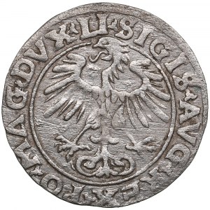 Lituania, Vilnius (Polonia) 1/2 Grosz 1554 - Sigismondo II Augusto (1545-1572)