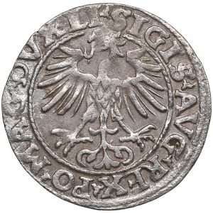 Lithuania, Vilnius (Poland) 1/2 Grosz 1554 - Sigismund II Augustus (1545-1572)