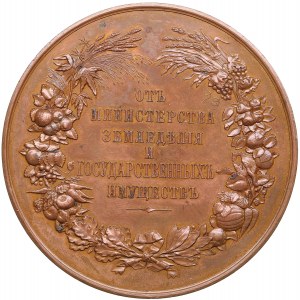 Russia Bronze Award Medal ND (1902-1905) - For Provincial Exhibitions of Rural Products from the Ministry of Agriculture