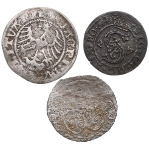 Group of coins: Lithuania and Poland (3)