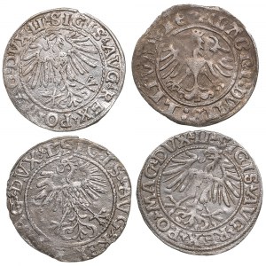 Lithuania (Poland) ) 1/2 Grosz 1510, 1548, 1549, 1561 (4)