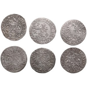 Lithuania (Poland) 1/2 Grosz 1556, 1557, 1558, 1559, 1560 - Sigismund II Augustus (1545-1572) (6)