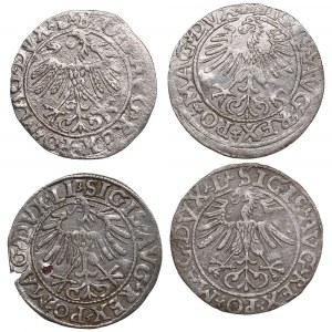 Litva (Polsko) 1/2 Grosz 1557, 1558, 1561 - Zikmund II August (1545-1572) (4)