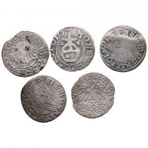 Group of silver coins: Lithuania and Poland (5)