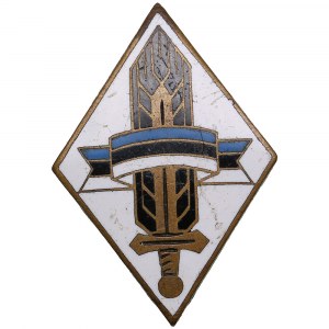 Brązowa odznaka Estonia (III Rzesza) (1942-1944) - Eesti Noored (estońska młodzież)