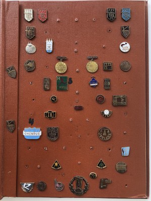 Skupina odznaků: (Rusko SSSR)