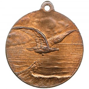 Germany Bronze Donation Medal 1912 - National flight donation