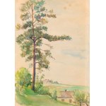 Jerzy HERBST (1907-1975), Drzewo na wzgórzu