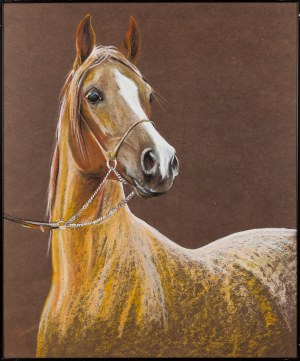 Krzysztof JAROCKI (geb. 1959), Pferd, 1991