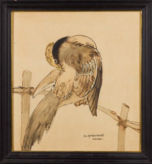 A v. KORZENIEWSKI (20th century), Bird