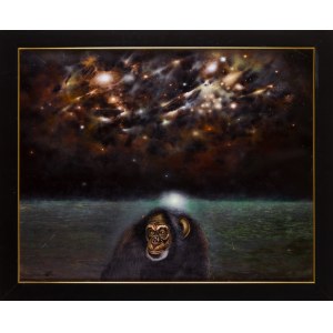 Paweł TRYBALSKI (nato nel 1937), L'enigma dell'universo