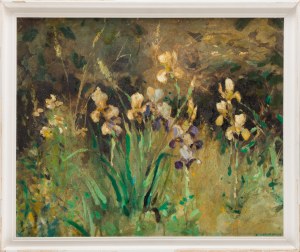 Michal ZABOROWSKI (b. 1960), Irises in the meadow